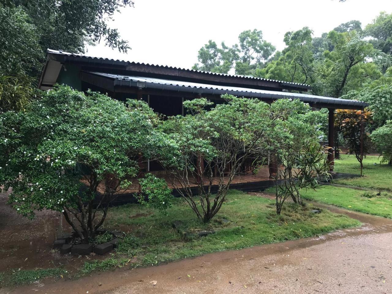 Greenwood Hotel Sigiriya Bagian luar foto