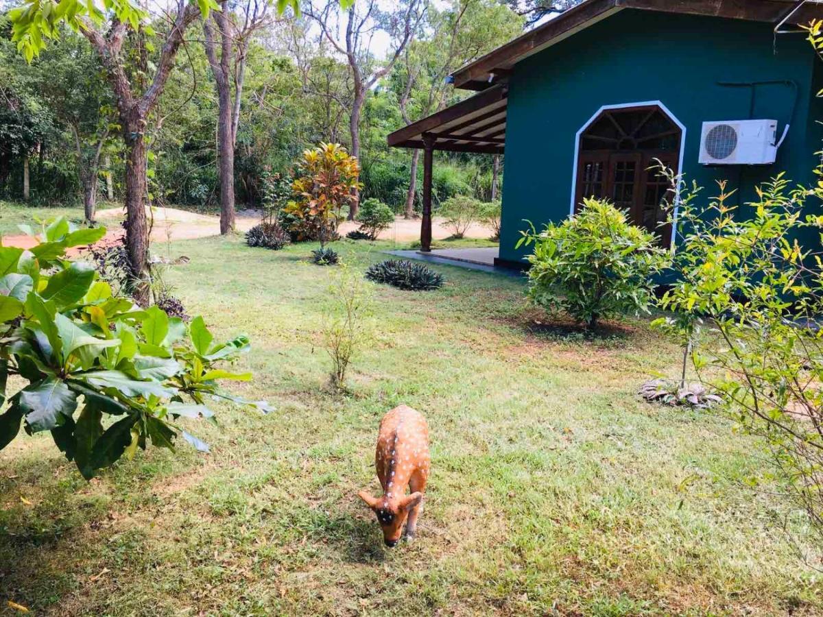 Greenwood Hotel Sigiriya Bagian luar foto
